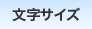文字サイズ